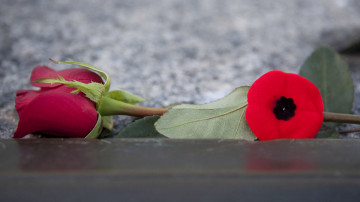 The moment of silence becomes two minutes. A commemorative day becomes a week. As more veterans die and more soldiers' bodies return, Canadians have a growing interest in Remembrance Day