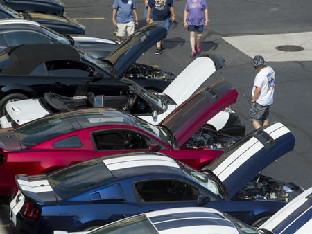 Mustang Alley on Nine Mile in Ferndale was the home to dozens of Ford Mustangs from across the vehicle's history.