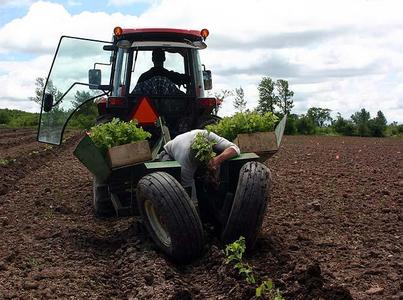 About half of the 10-hectare vineyard at Coffin Ridge, in Meaford, Ont., is already planted. 